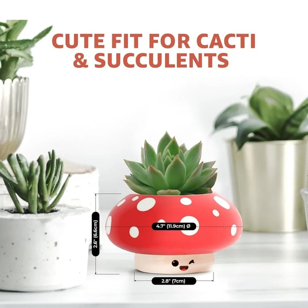 Shumiez Mushroom Planter, NIB 🍄 🌱 - Picture 2 of 16